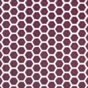 SIMPLE RIMMED HEXAGON PLUM