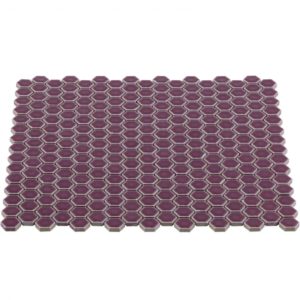 SIMPLE RIMMED HEXAGON PLUM