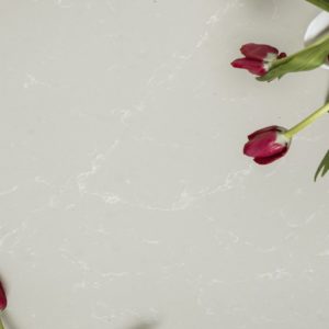 NOVA BISQUE