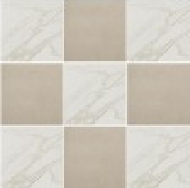 Brilliant White & Elegant Beige
