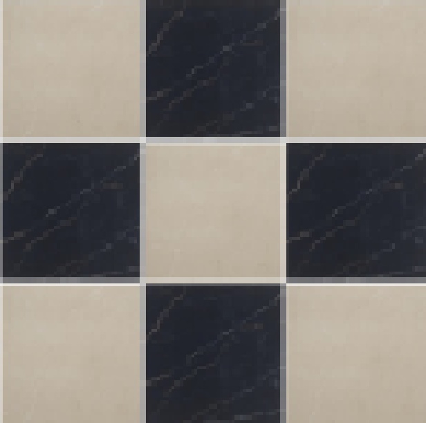 Elegant Beige & Infinite Black